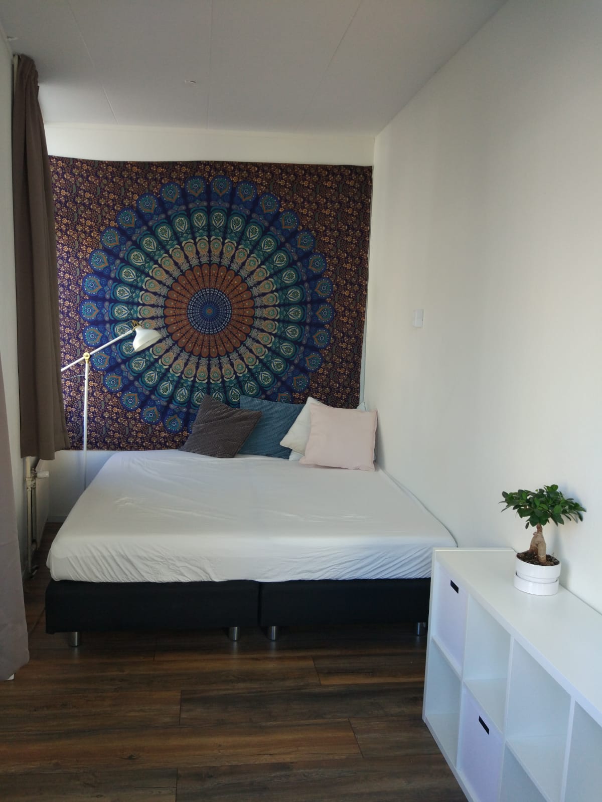 Room 6